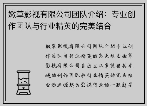 嫩草影视有限公司团队介绍：专业创作团队与行业精英的完美结合